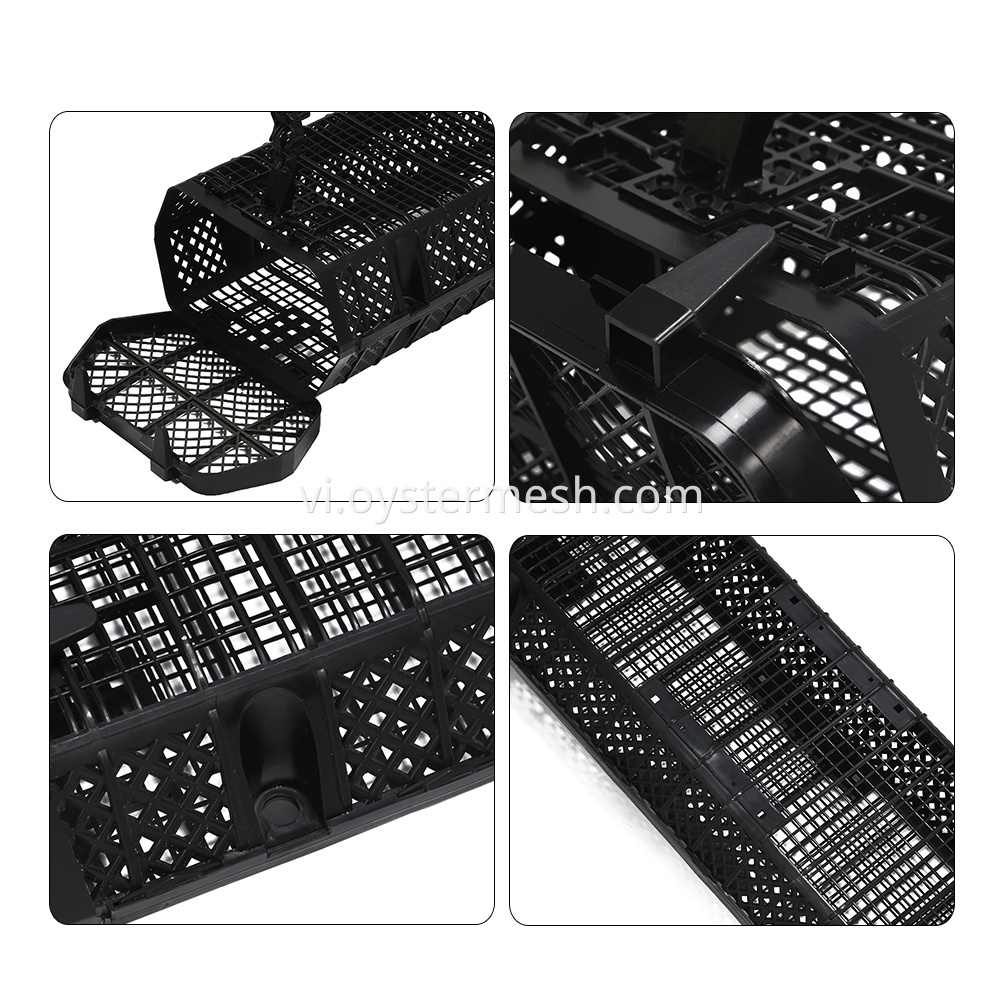 Ảnh rổ Oyster hình lục giác Hexagonal oyster basket photo